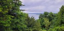 20250607_073925.jpg