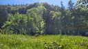 20260522_155335.jpg