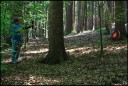 EQ26_2001_Farbkleckse_im_Wald.jpg